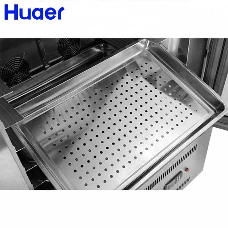 commercial instant shock deep freezer fish machine
