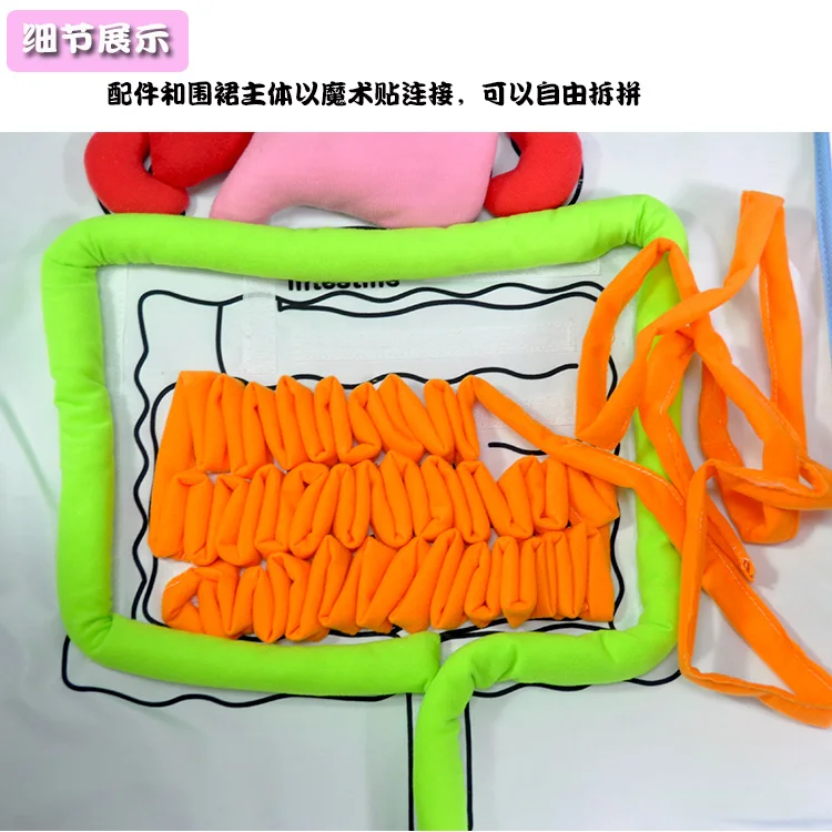 
Children early educational toy 2020 montessori Preschool body organ Teaching aids apron kids training aids baby educational toys 