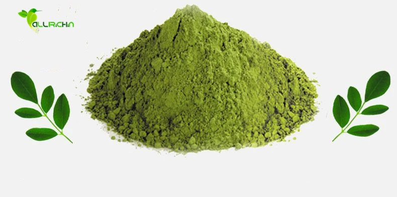 High Quality Freeze Dried Moringa Leaf Powder Manufacturer