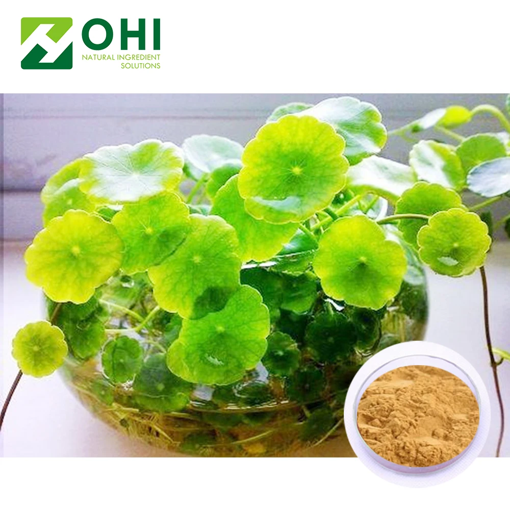 China manufacturer herbex centella extract