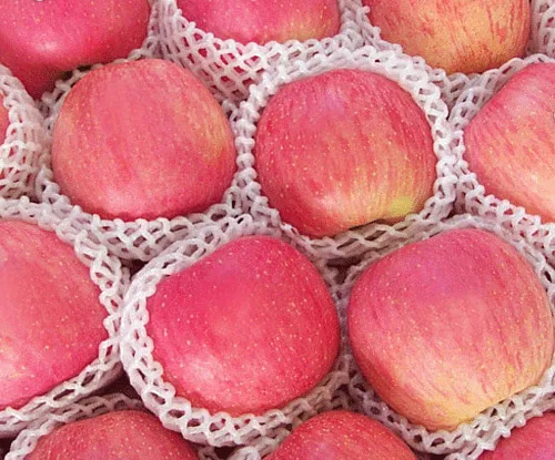 Fresh Fuji Apple