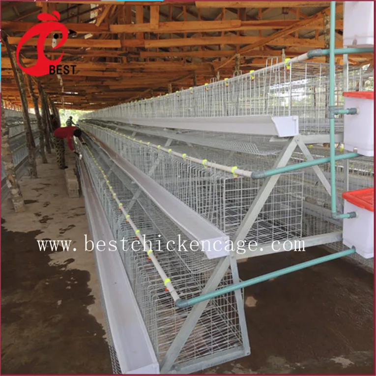 Лидер продаж клетка для кур hebei broiler 5 ярусов 200 птиц несущих автоматическая оптовых