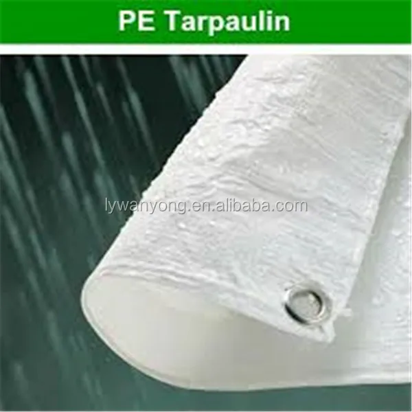 Heavy Duty Durable Tarps/Tarpaulin Sheet/Roll