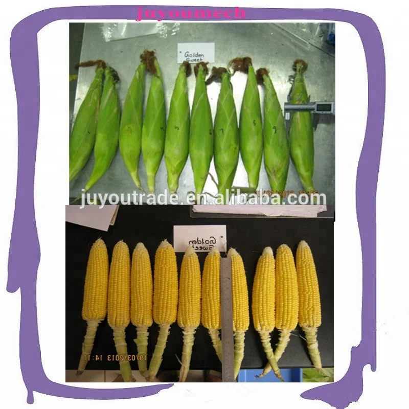 cheapest green corn sheller machine/sweet corn processing machine/corn husk peeling machine