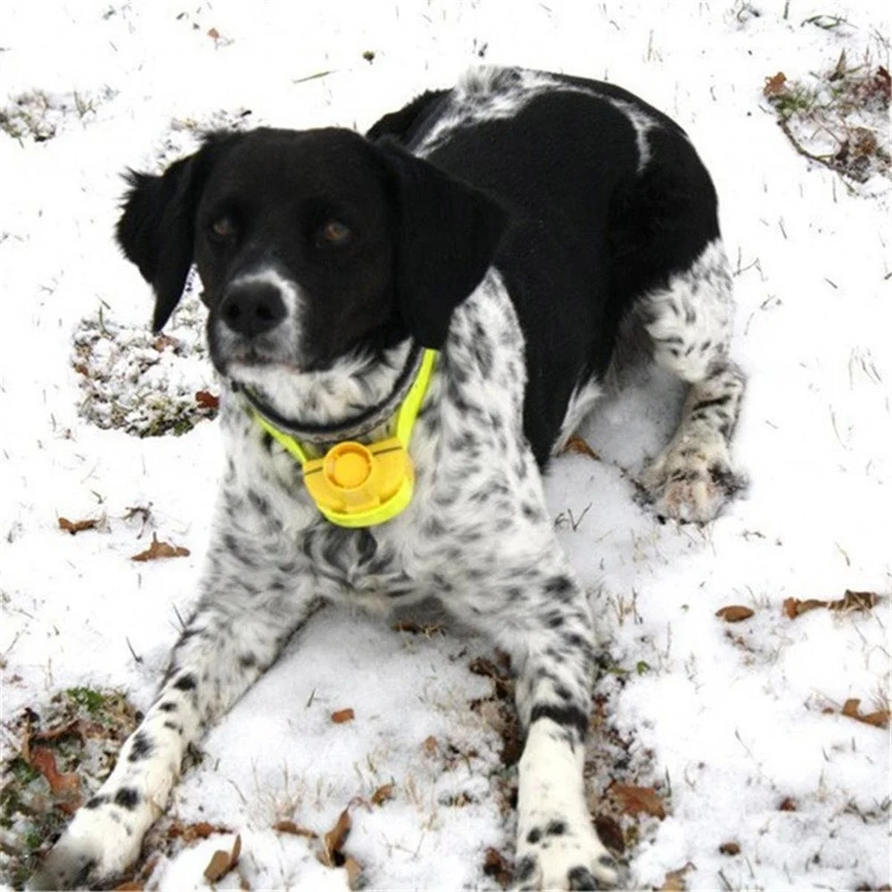 Yonghe big promotion wholesale hot selling dog beeper for hunting dogs