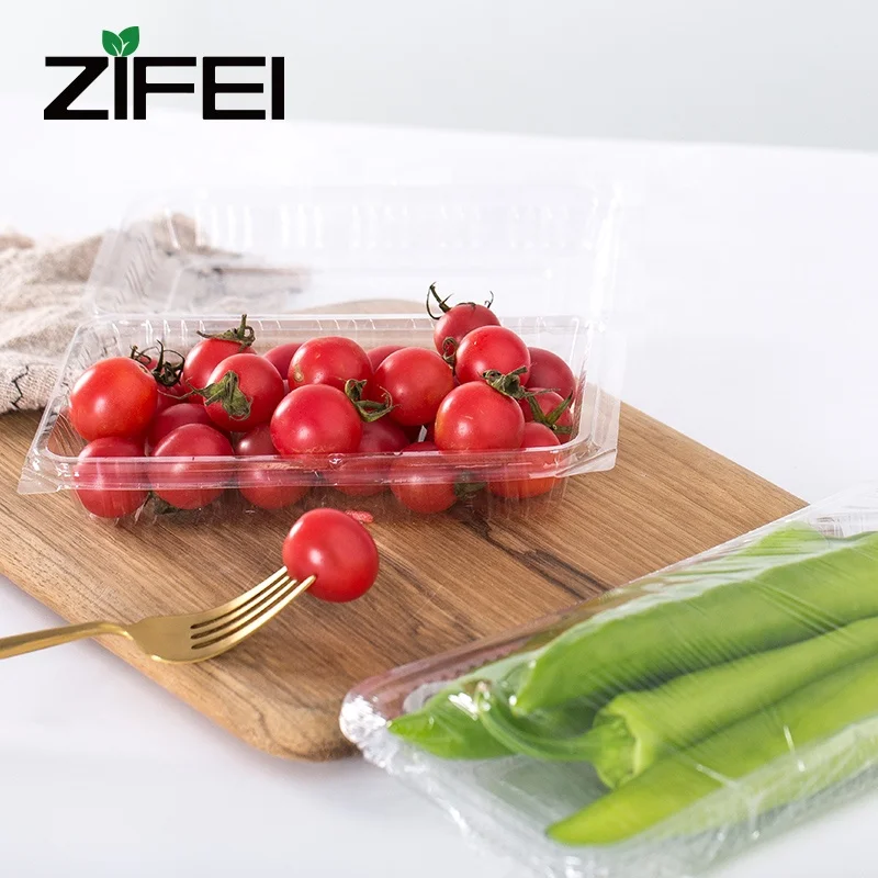 Disposable PET plastic take away Japanese sushi box/sushi tray/food tray