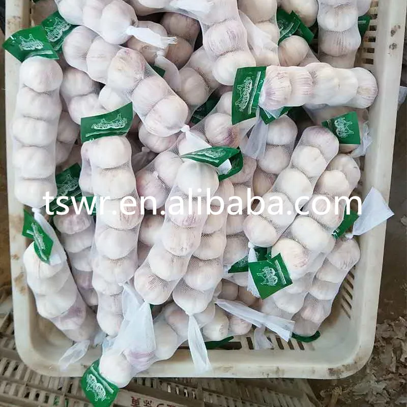 
CHINA GARLIC 2020 FRESH NORMAL WHITE GARLIC WHOLESALE 