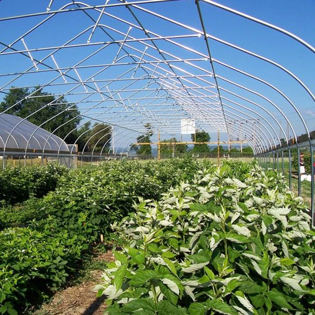 agricultural polytunnel greenhouse shouguang commercial greenhouse