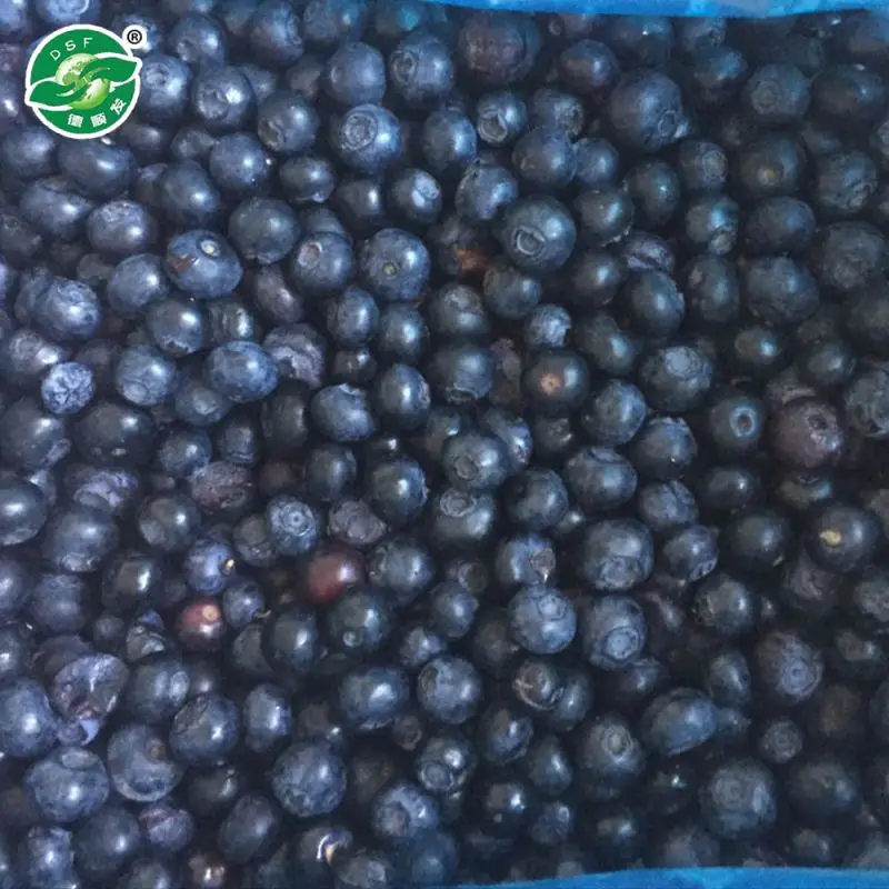 Горячий Продавать Все Нормальные Размеры лучшая цена китай замороженные дикой черники для горячей продажи