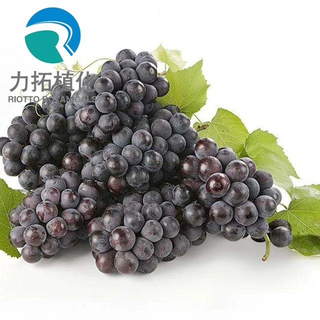 
Fruit Juice Powder dried grape pulp powder 