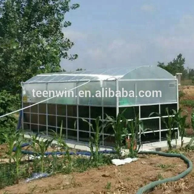  Teenwin 10 м3 биогазовый Тепличный завод для очистки пищевых