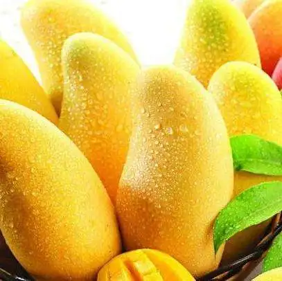 Mango Black Tea flavored tea fruit 100% natural delicious