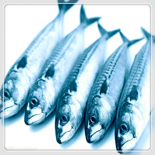 
EM Aquaculture probiotics for water treatment prevent Cyanobacteria water 