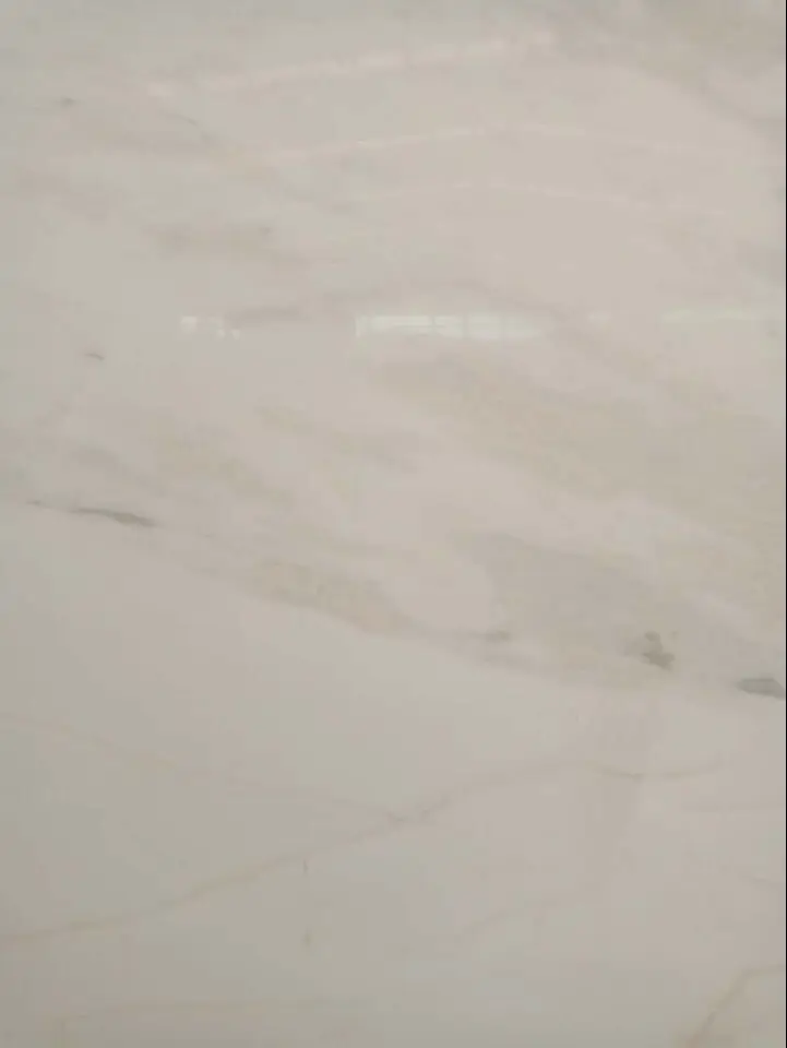 Bianco Rhino Marble Slab Floor Tile
