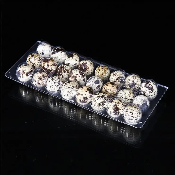 Good Quality 6, 12, 18, 20, 24, 30 Quail Egg Cartons for Sale