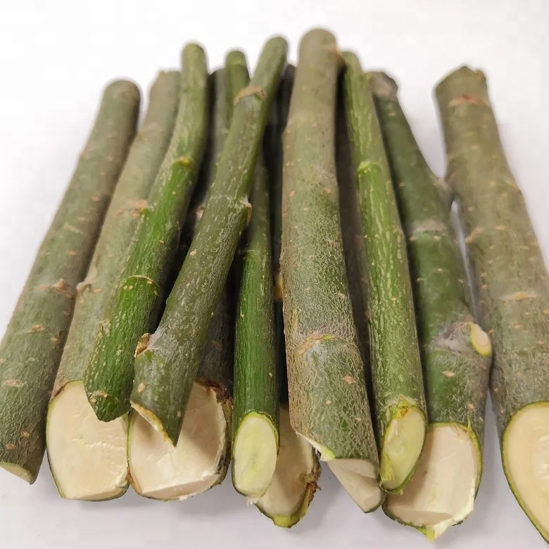 Древесина и древесина свежая резка для посадки