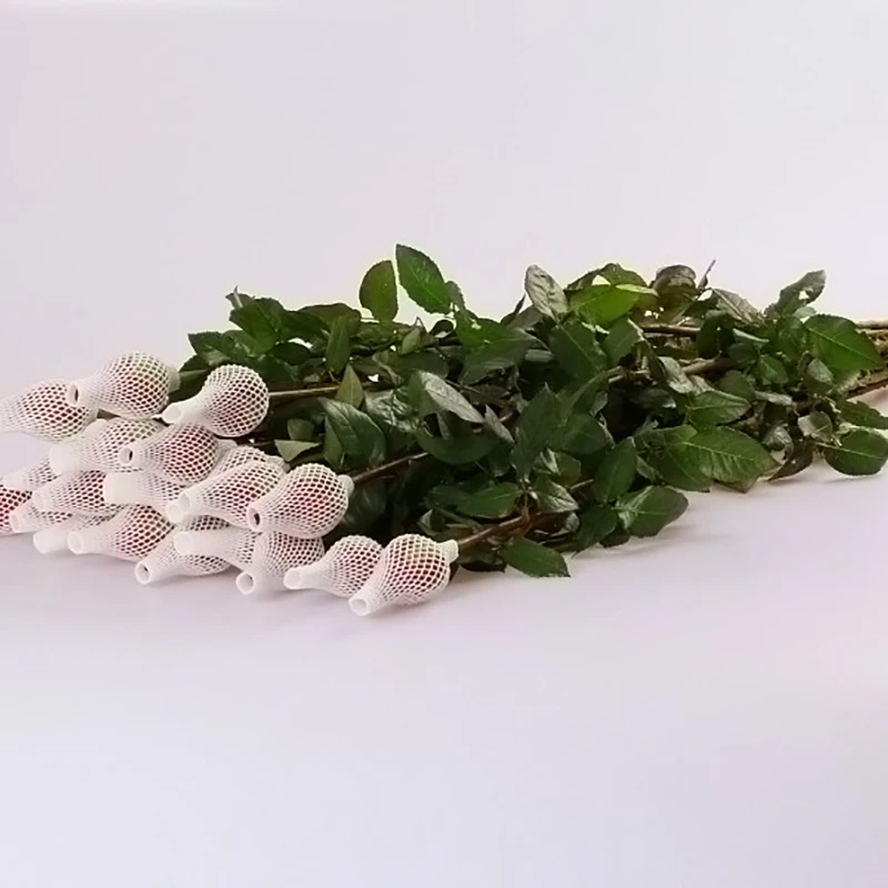 Оптовая продажа, разные виды свежих вырезанных цветов, черные розы для продажи