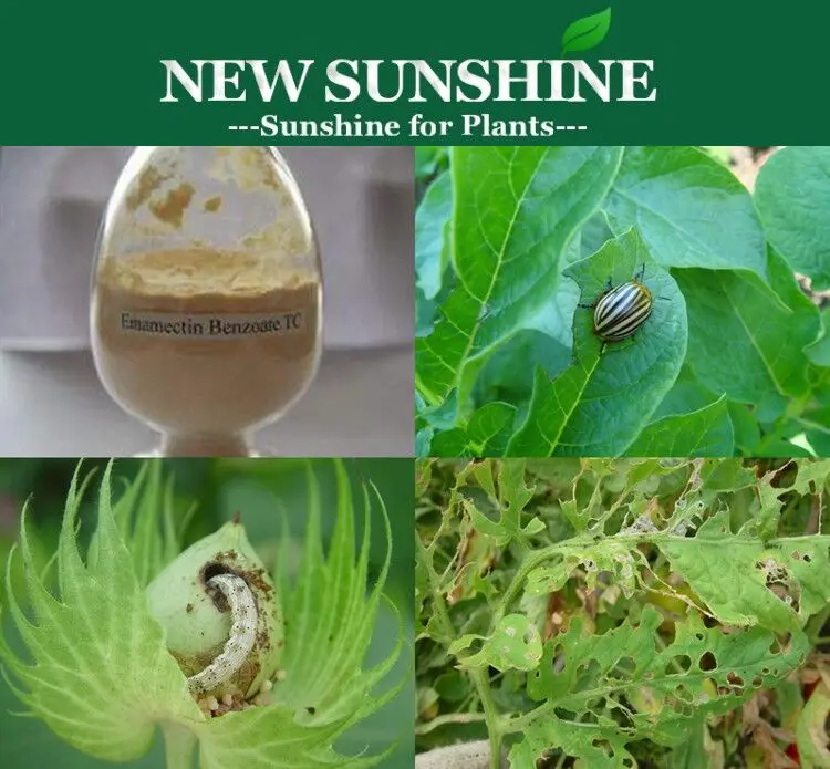 Hot Sale Emamectin Benzoate  Benzoate Emamectin 90%/70% TC, 30%/20%/10% WDG, 5% SG