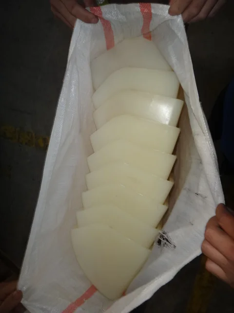 6 inch Plastic Grain Bucket for rice grain elevator lift conveyor