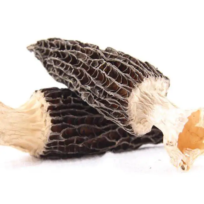 Заводская цена, свежие грибы, Морель, гриб, Морель, мицелий