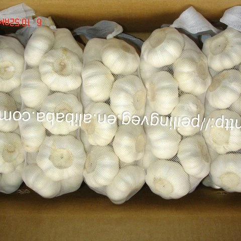 
2018 свежий чеснок, Фабрика США 