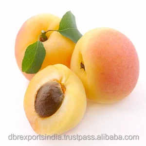 Pure Apricot Kernel Oil