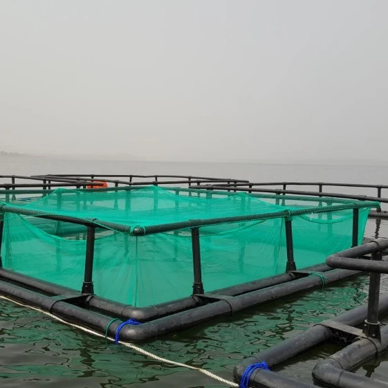 6mx6m Floating fish farming cage from china