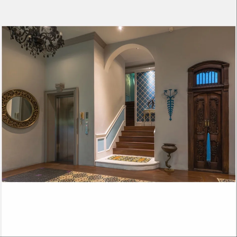 Small shaft design 320KG machine roomless home Lift elevator