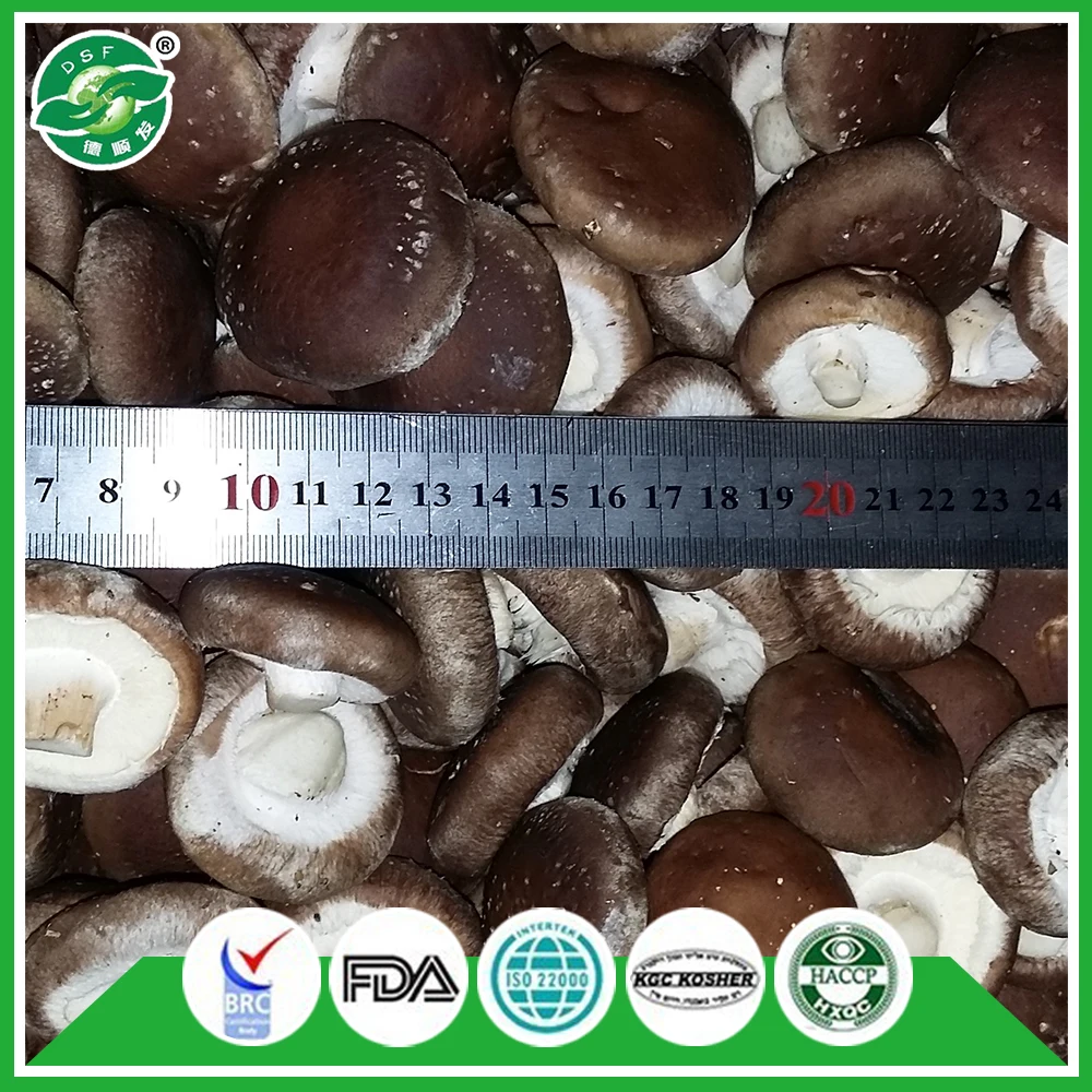 
Highest quality service typical taste chinese frozen vegetable mushroom 