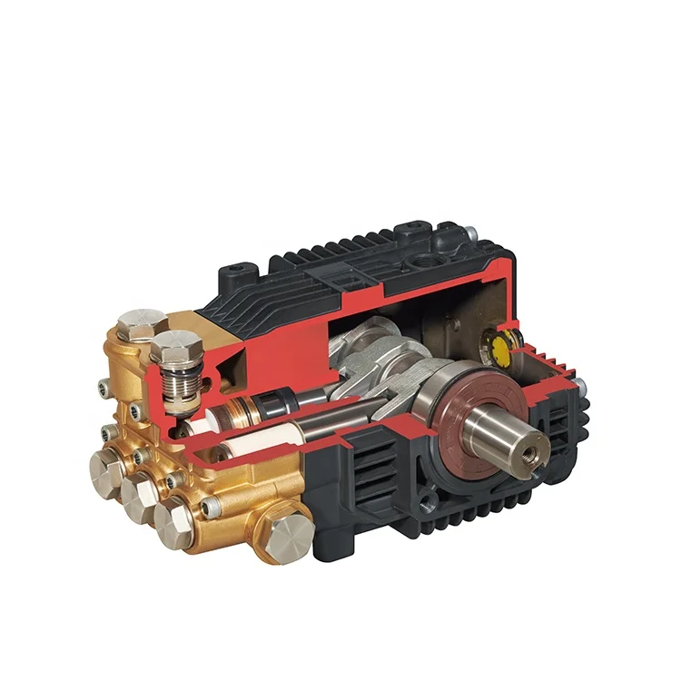 BM 3-19Lpm 100-250Bar High Pressure Triplex Plunger Pump