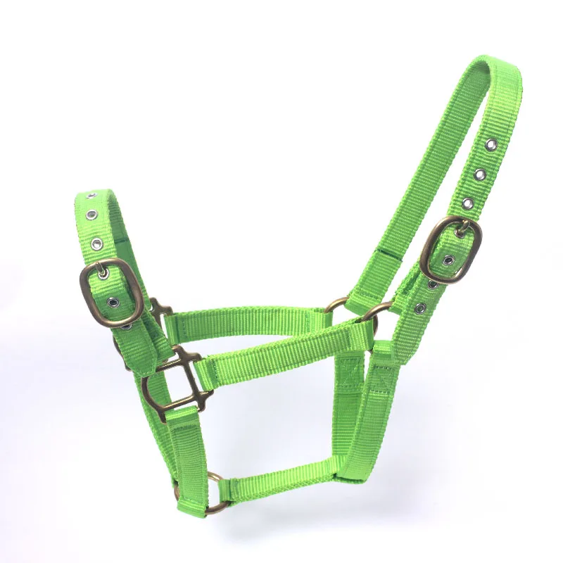 Traditional Wholesale Colorful Adjustable Nylon Horse Halter Accessories for Horses