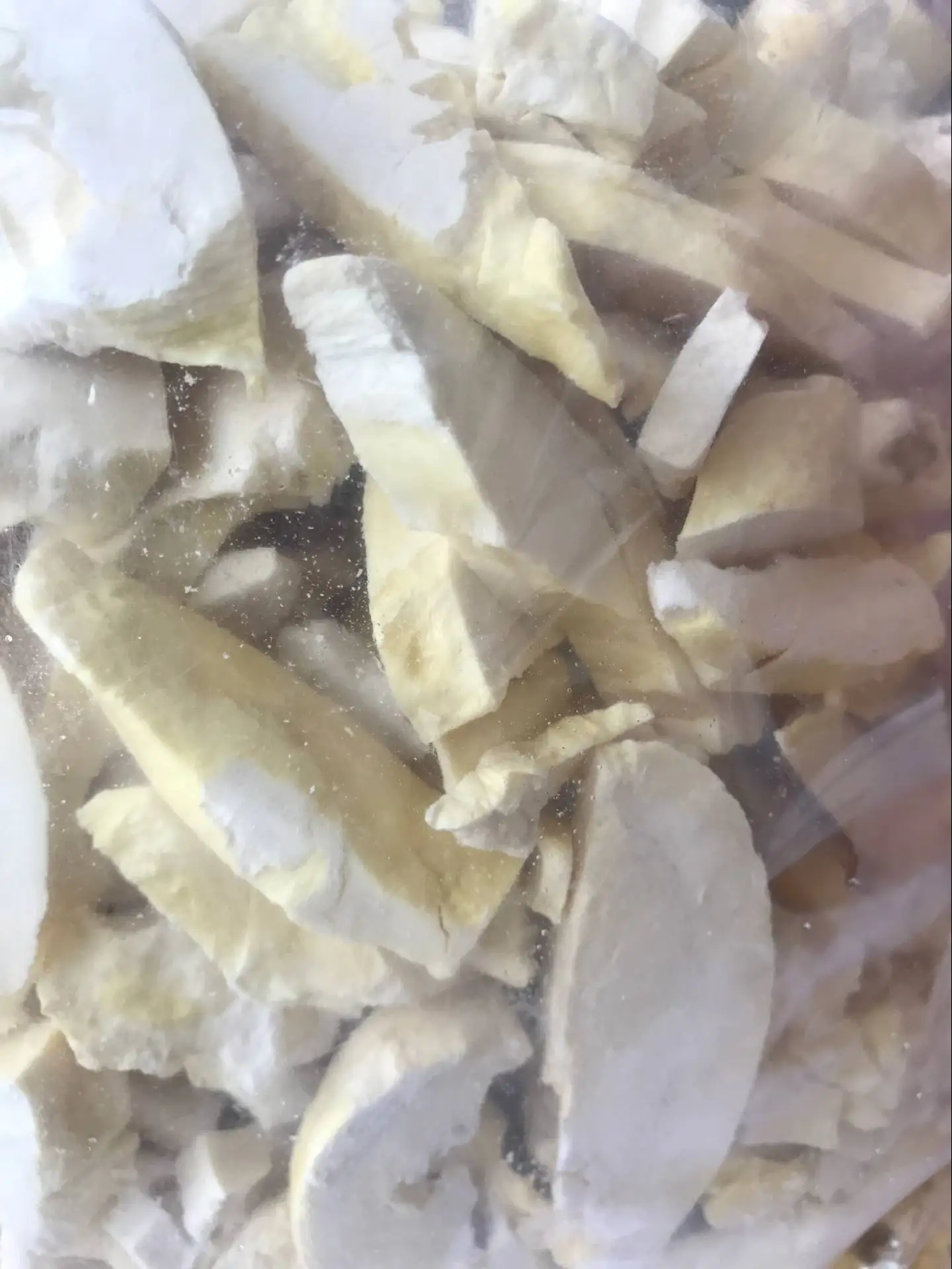 JK-FD-0.5N High Quality Fruit Freeze Dryer Price Vacuum Freeze Drying machine