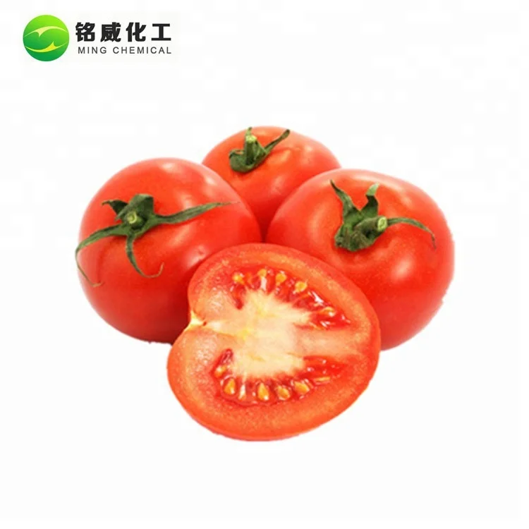 Natural Antioxidant Tomato Extract Pure Lycopene 5% 10% Oil Lycopene Extract