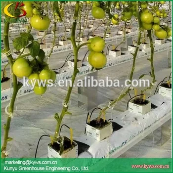 Hydroponic gutter for strawberry tomato pepper hydroponic trough for greenhouse