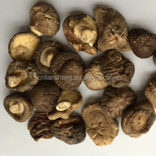 
Dehydrated price of black morel mushroom slice dried shiitake export dry mushroom slice 