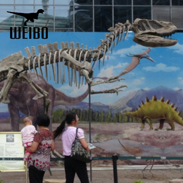 Музей искусственный моделирования в натуральную величину Окаменелости Динозавров Скелет