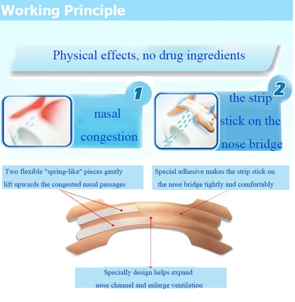 principle