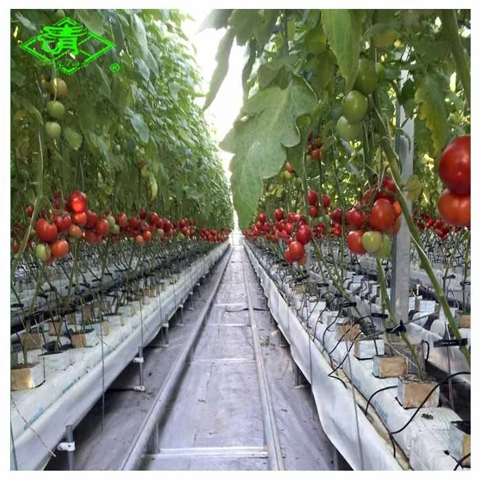 UV Agricultural Plastic Film for Greenhouse planting
