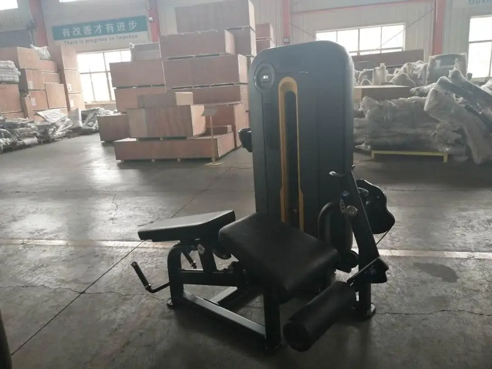 gym fitness equipment strength matrix leg extension leg curl