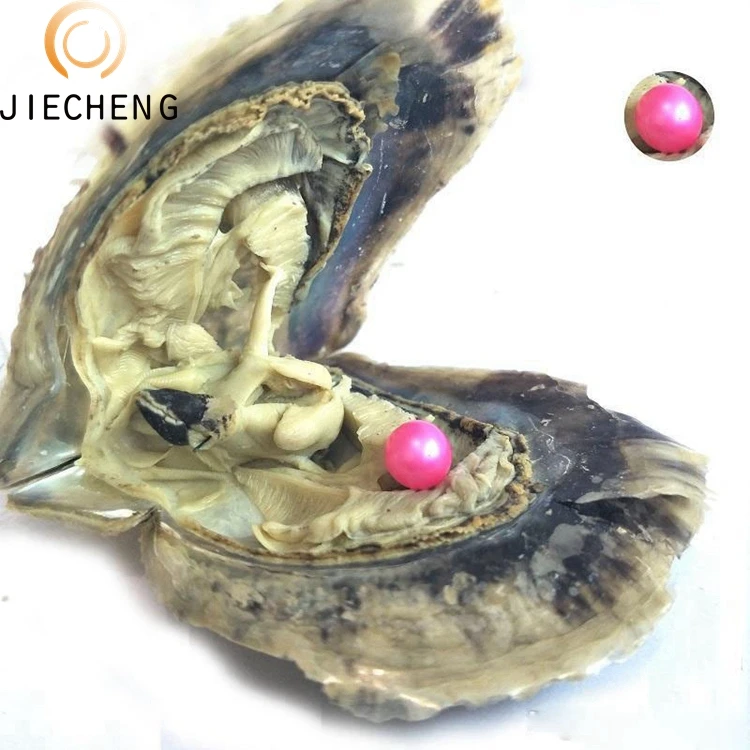 2018 Hot sell akoya natural saltwater pearl oysters for offers sale