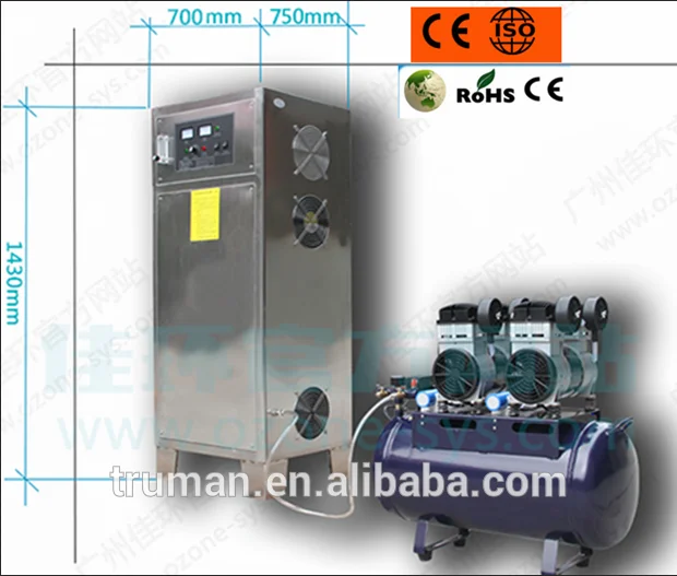 100g water treatment equipement ozone generator for swimming pool