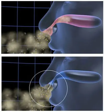 Anti FM2.5 Dust Gas Pollen Pollution Bacterial allergic Nose Nasal Filter Mask