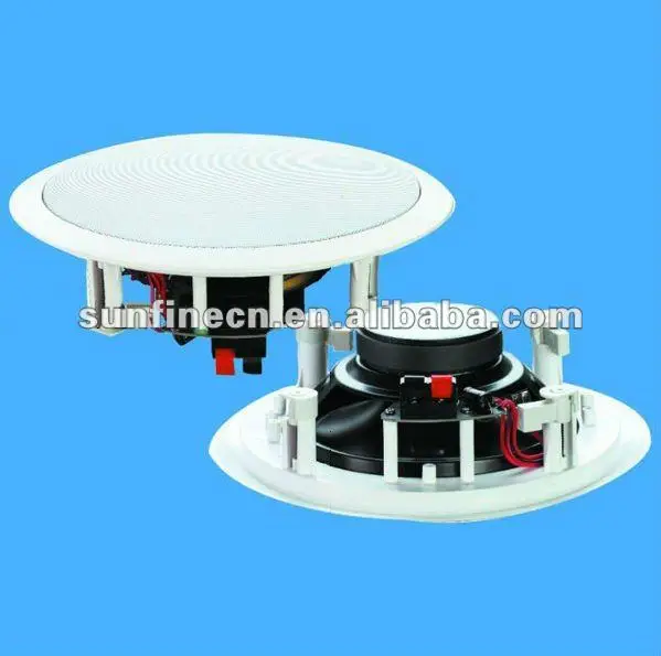 8' 2-Way Ceiling Speaker System
