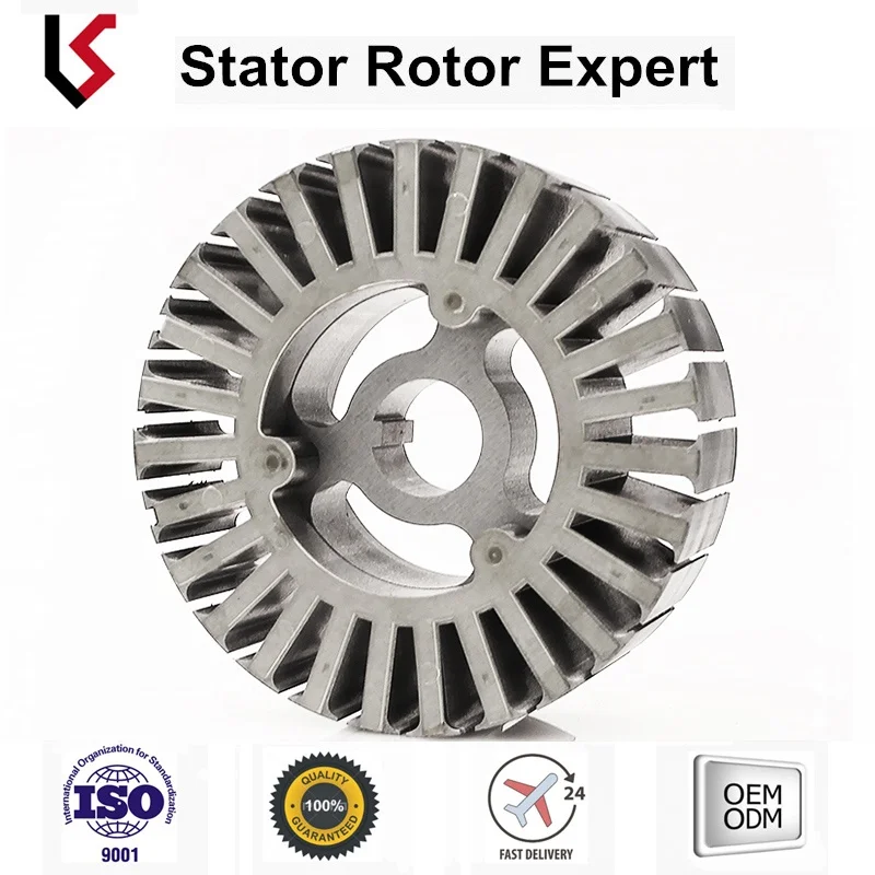 Segway Balance Vehicle Stator and rotor assembly metal sheet stamped rotor stator lamination winding motor rotor stator core