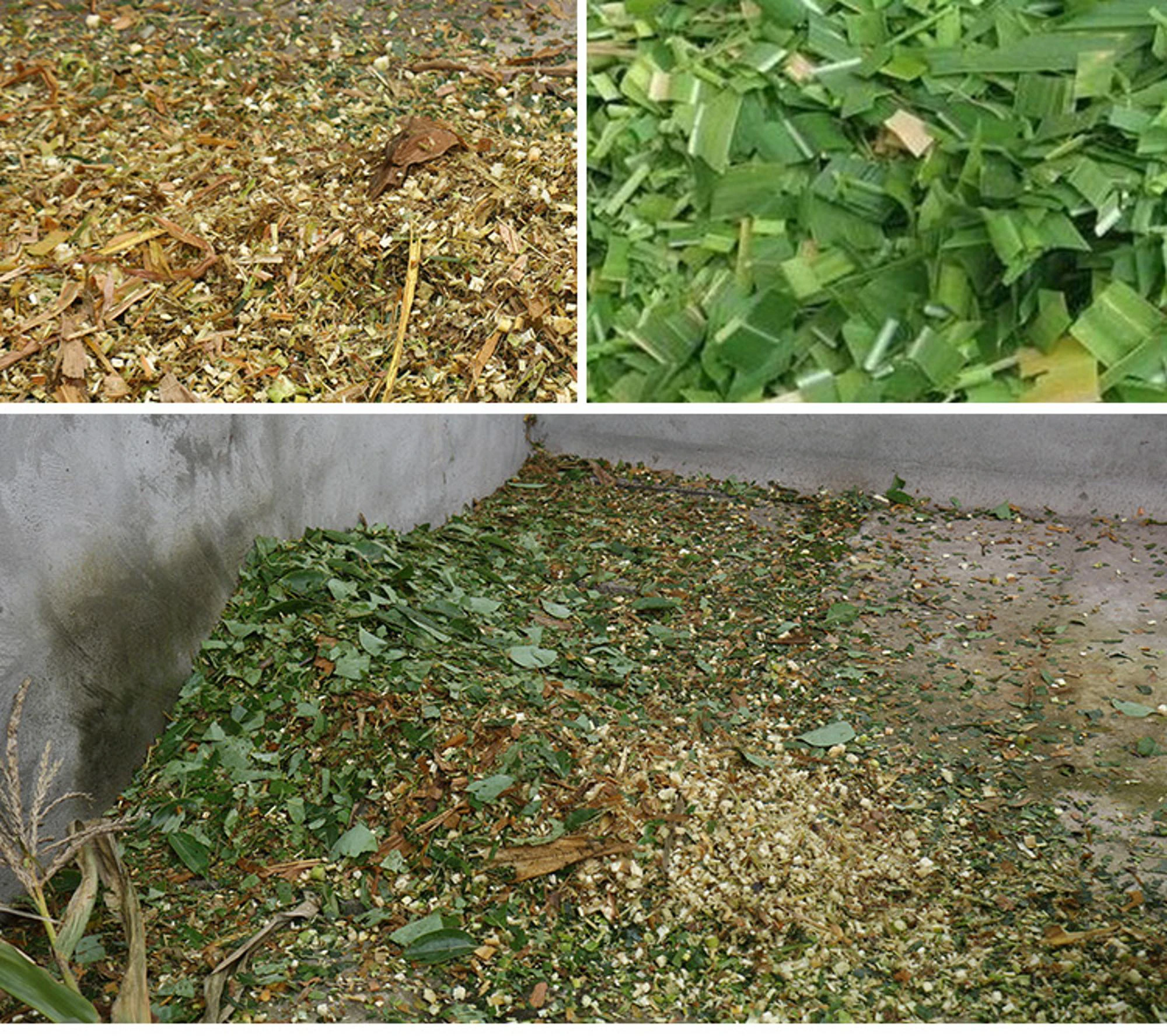 DAWN AGRO Mini Silage Forage Chopper Chaff Cutter Machine Straw Agriculture Grass Cutting Animal Processing Machinery