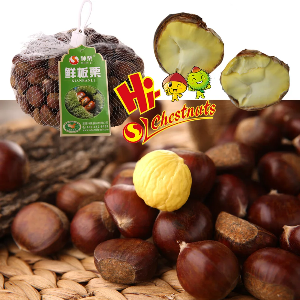 Quick Freezing organic roasted chestnuts frozen chestnut
