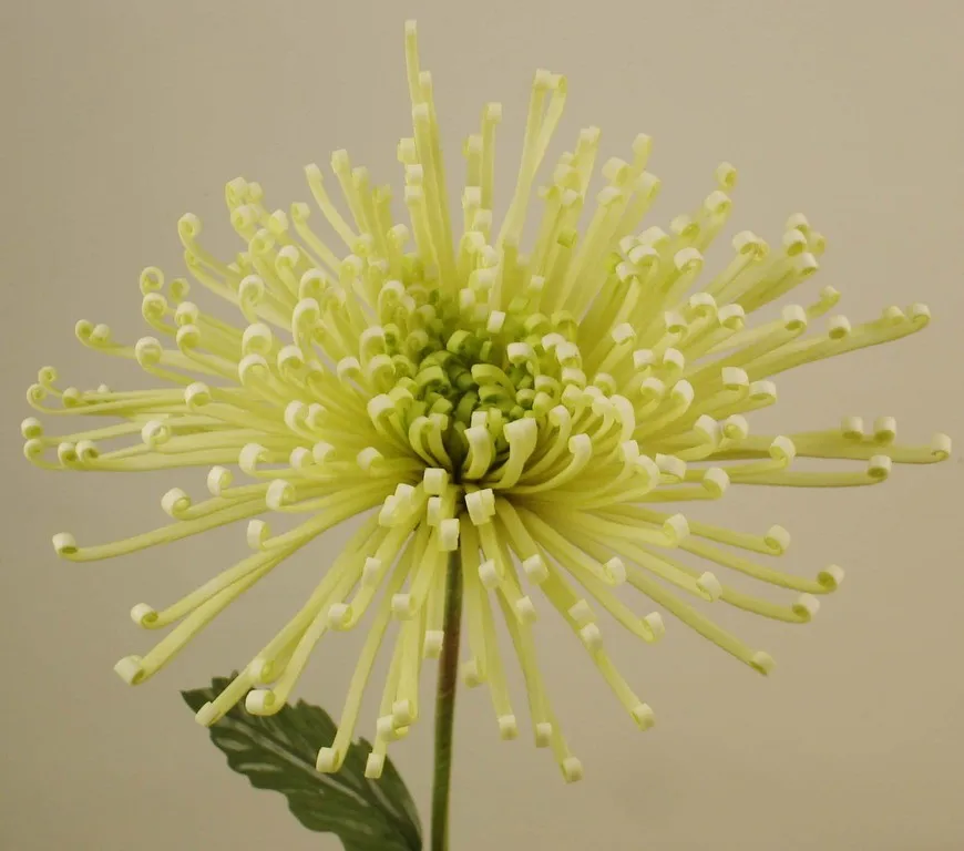 Artificial Foam Fuji Chrysanthemum Mum Pick W/Leaves Foam Flower