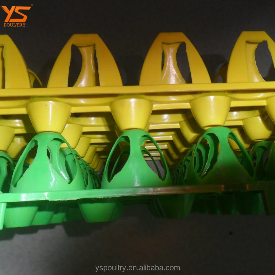 
Recycle Egg Carton 30 Holes Plastic Egg Packing Tray 
