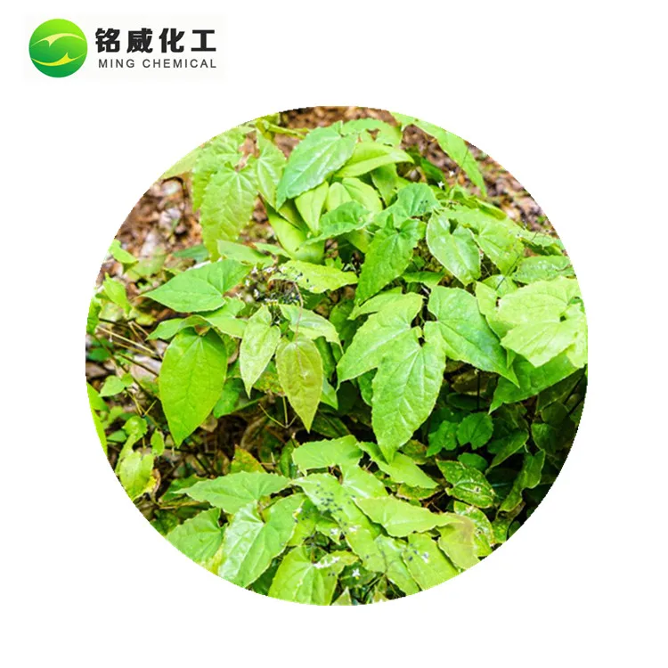 Herbal Horny Goat Weed Extract Icariin 10% to 98% Epimedium Extract Icariins