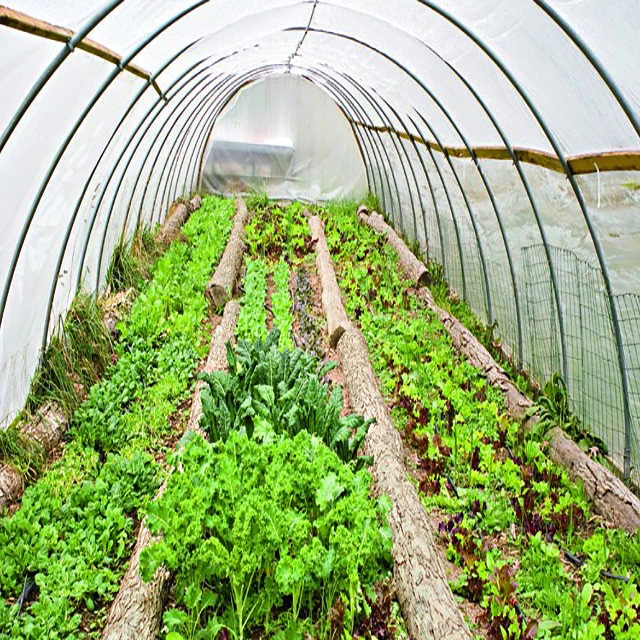 Lanyu Intelligent vegetable glass greenhouse and hydroponic growth system